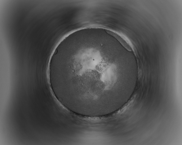 X0000094460911200711081323