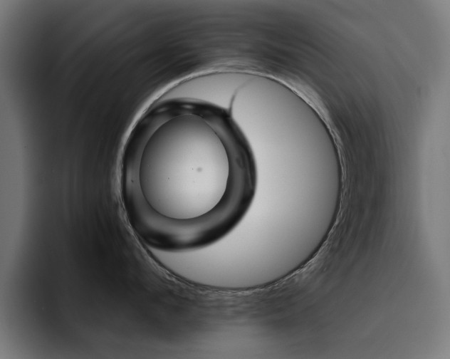 X0000094460912200711081323