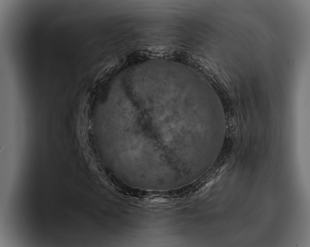 X0000094460913200711081322