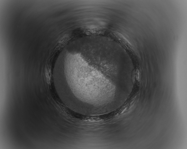 X0000094460915200711081322