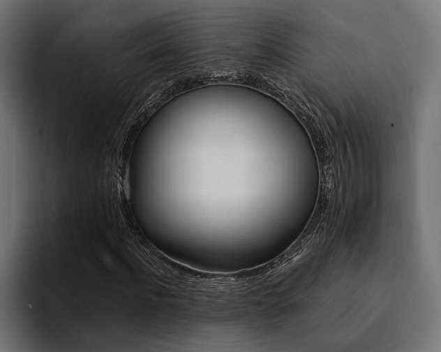 X0000094460916200711081322