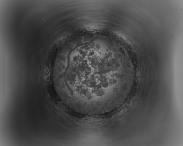 X0000094460917200711081322