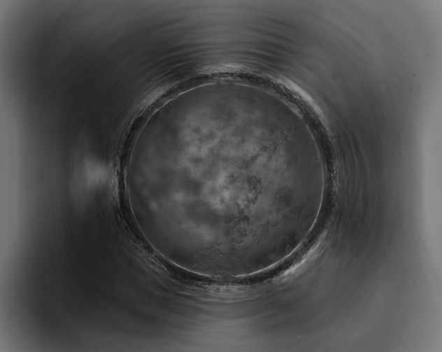 X0000094460921200711081322