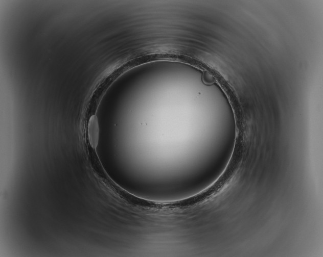 X0000094460922200711081322