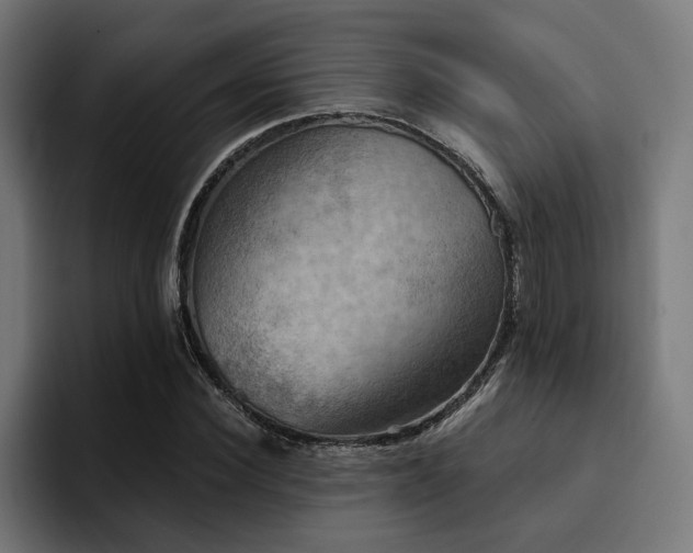 X0000094460924200711081322
