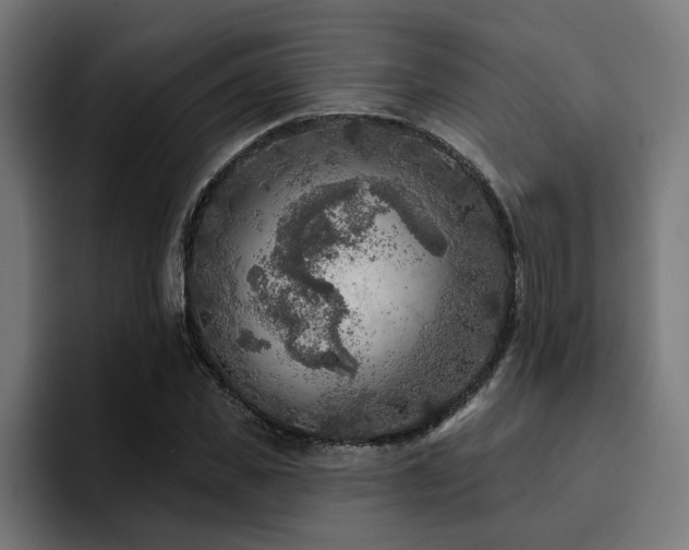 X0000094460925200711081322