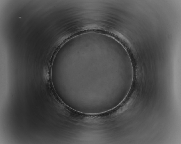 X0000094460929200711081322