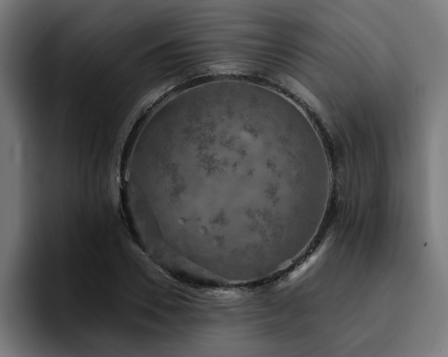 X0000094460930200711081322