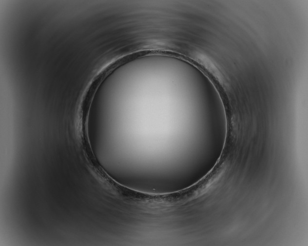 X0000094460931200711081322