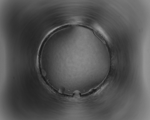 X0000094460932200711081322