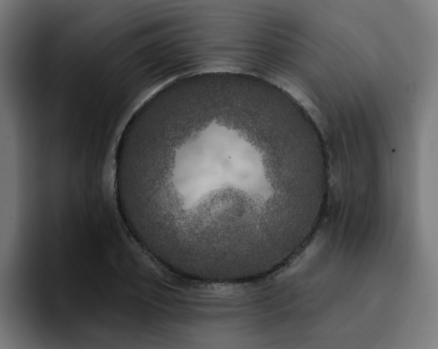 X0000094460933200711081322