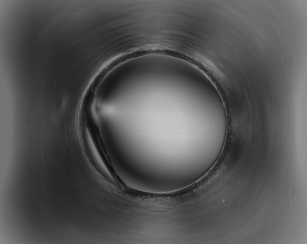 X0000094460934200711081322