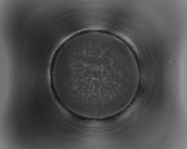 X0000094460935200711081322