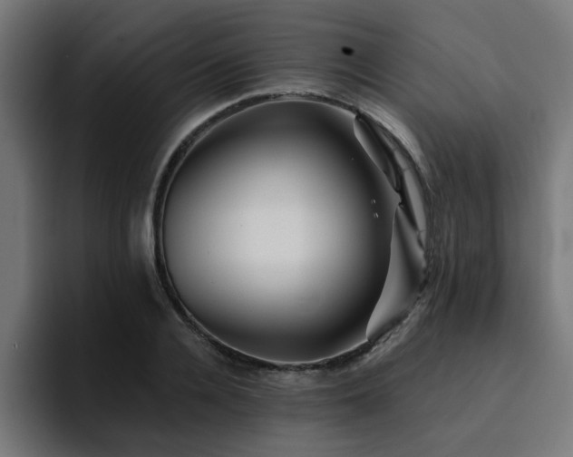 X0000094460936200711081322