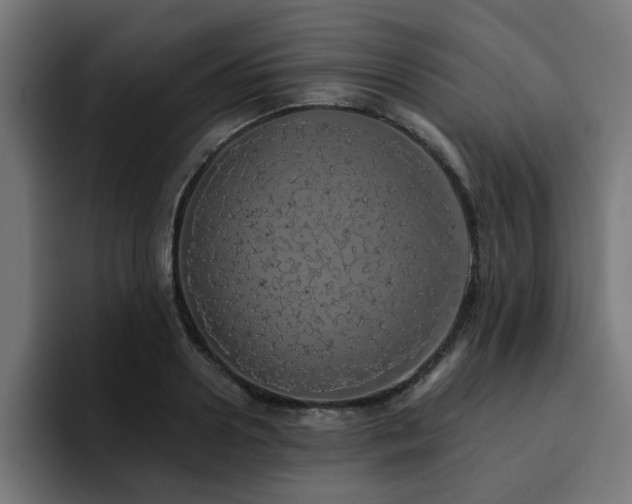 X0000094460938200711081322