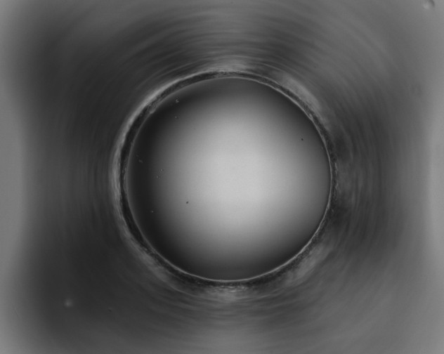 X0000094460939200711081322