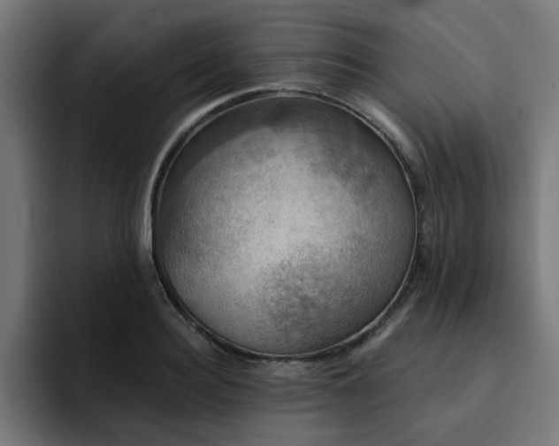 X0000094460940200711081322