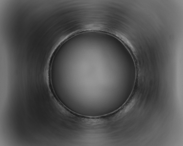 X0000094460941200711081322