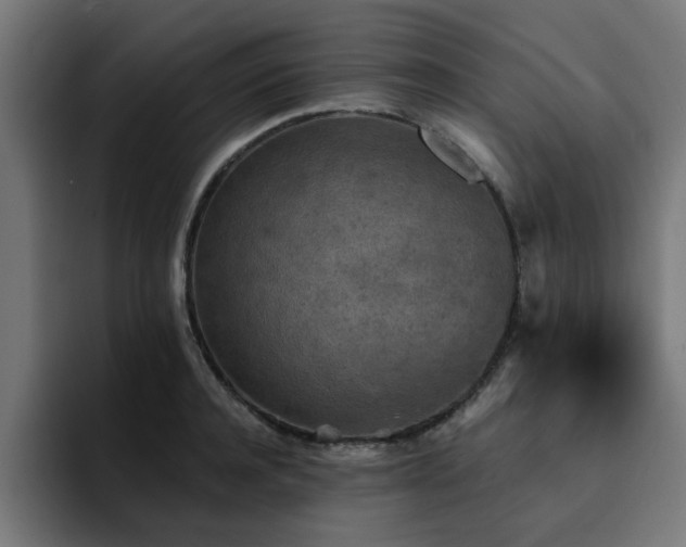 X0000094460944200711081322