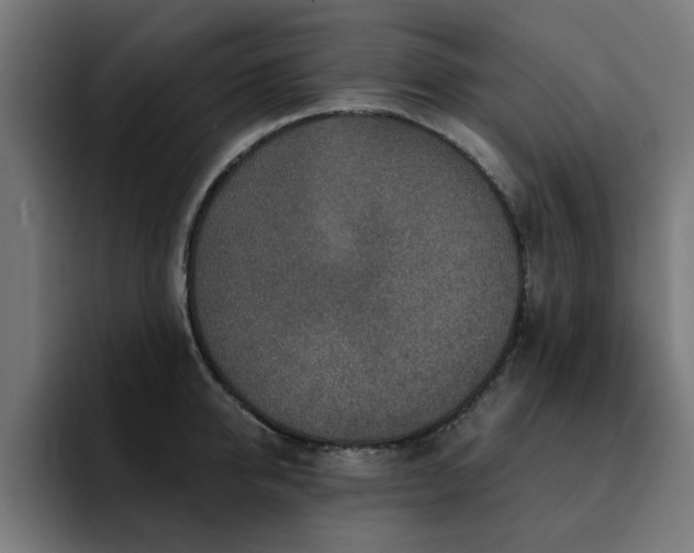 X0000094460950200711081322