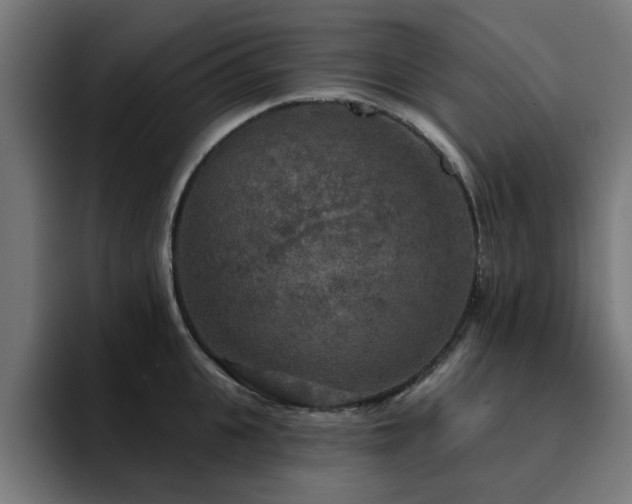 X0000094460951200711081322