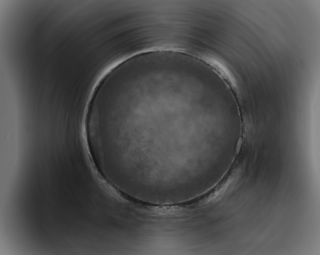 X0000094460952200711081322