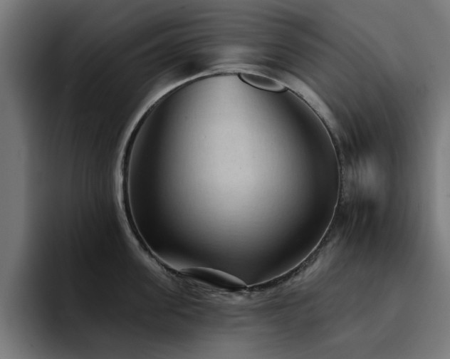 X0000094460955200711081323