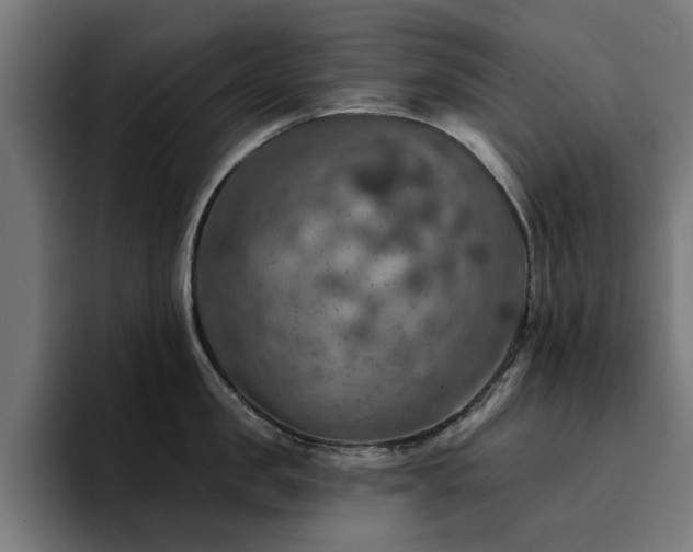 X0000094460957200711081323