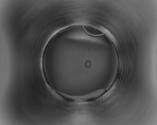 X0000094460958200711081323