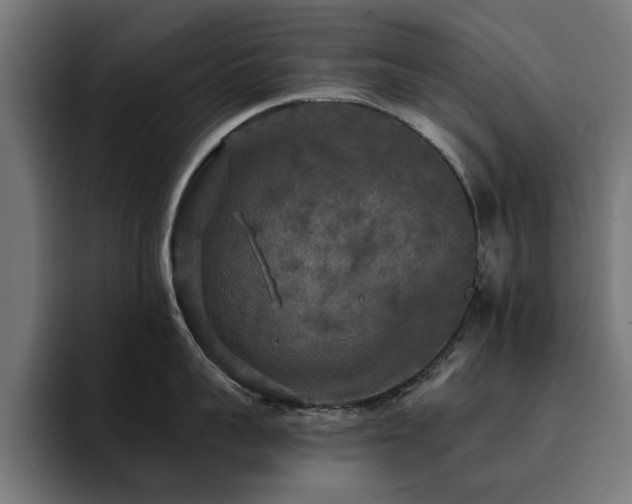 X0000094460959200711081323