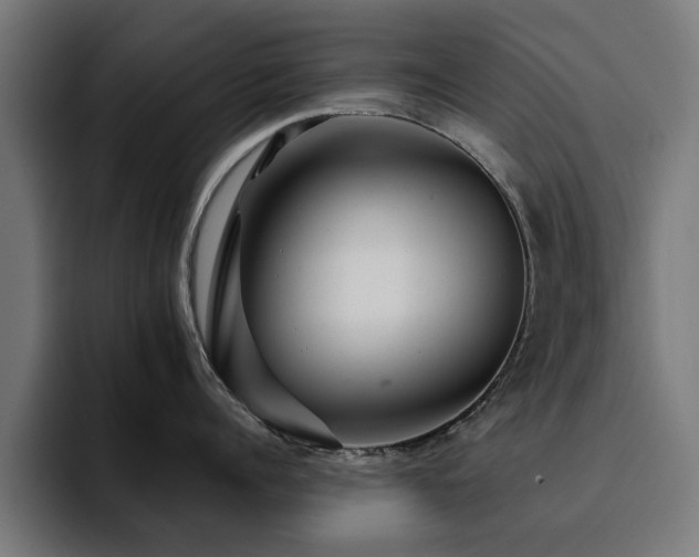 X0000094460960200711081323
