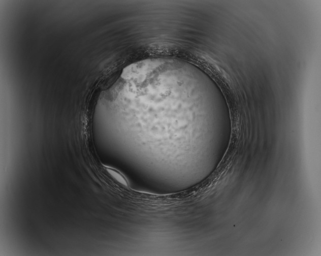 X0000094460964200711081322