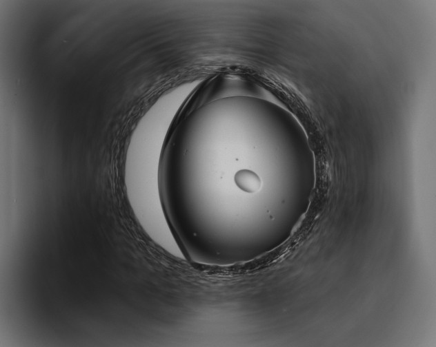 X0000094460965200711081322