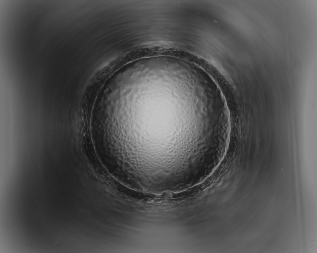 X0000094460967200711081322