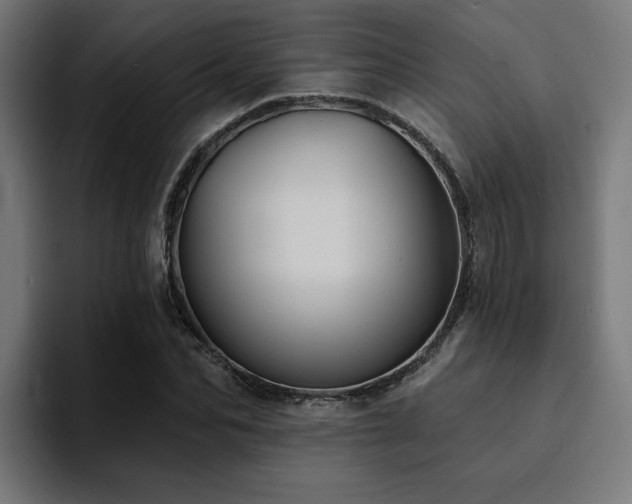 X0000094460974200711081322