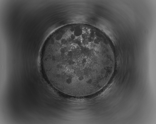 X0000094460975200711081322