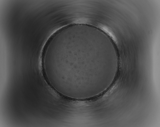 X0000094460976200711081322