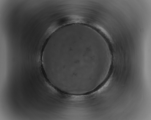 X0000094460977200711081322