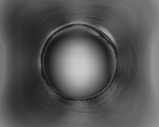 X0000094460980200711081322