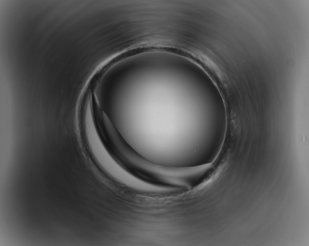 X0000094460981200711081322