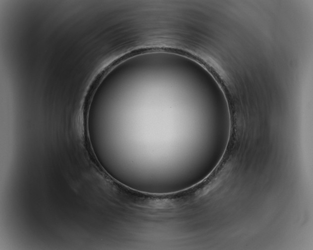X0000094460982200711081322