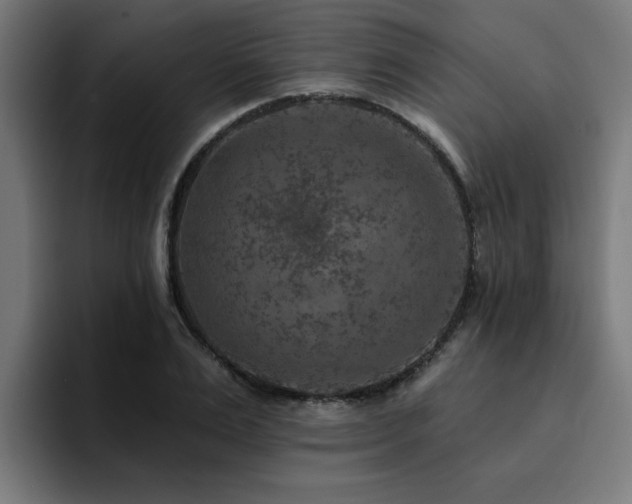 X0000094460983200711081322