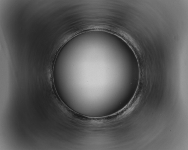 X0000094460985200711081322