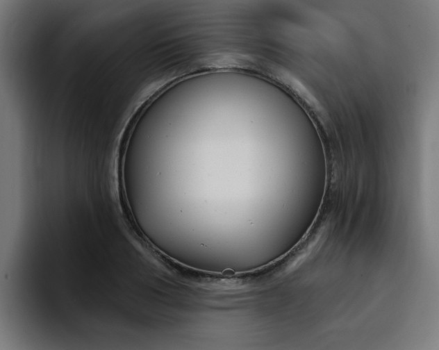 X0000094460986200711081322
