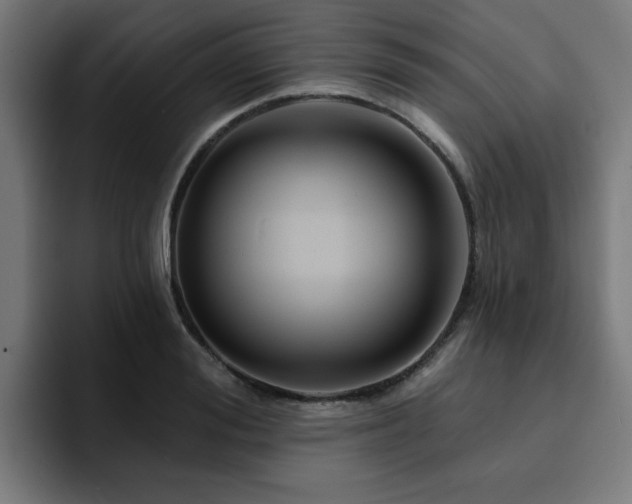X0000094460988200711081322