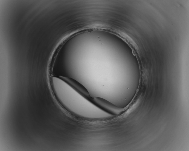 X0000094460989200711081322
