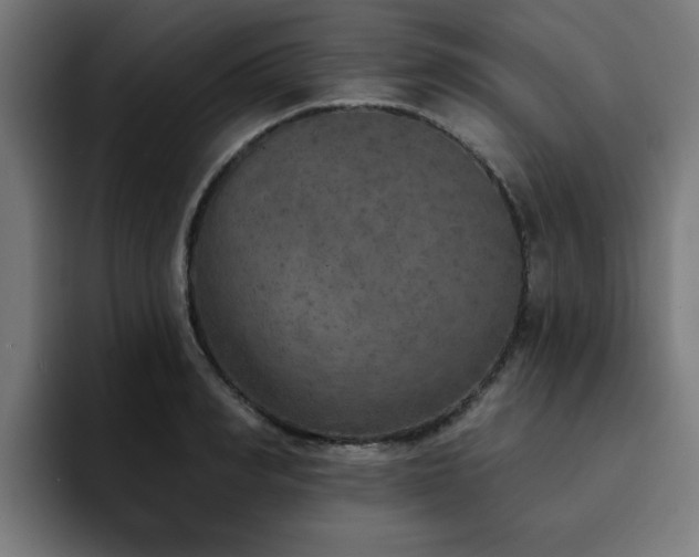 X0000094460990200711081322