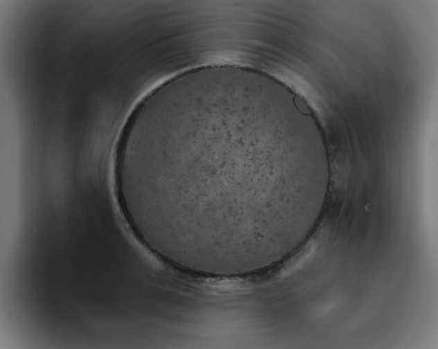 X0000094460991200711081322