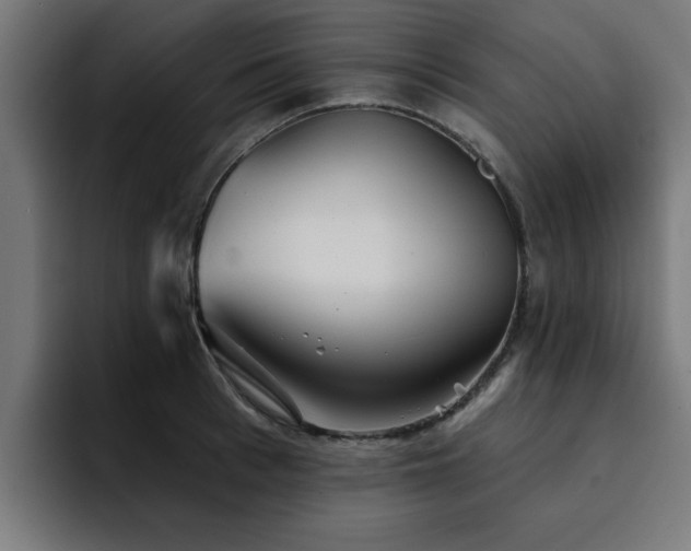 X0000094460993200711081322