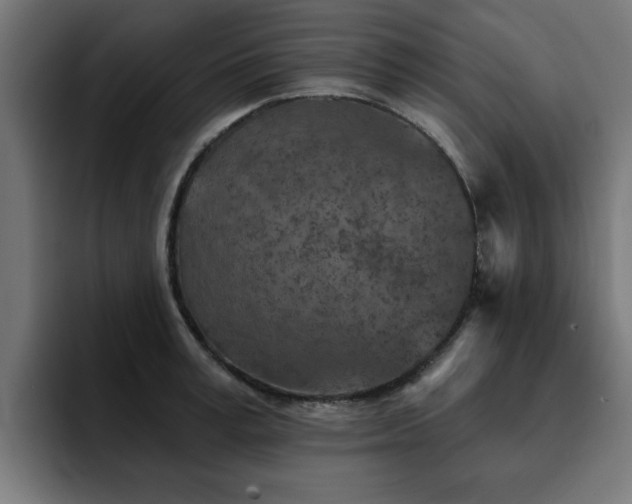 X0000094460995200711081322